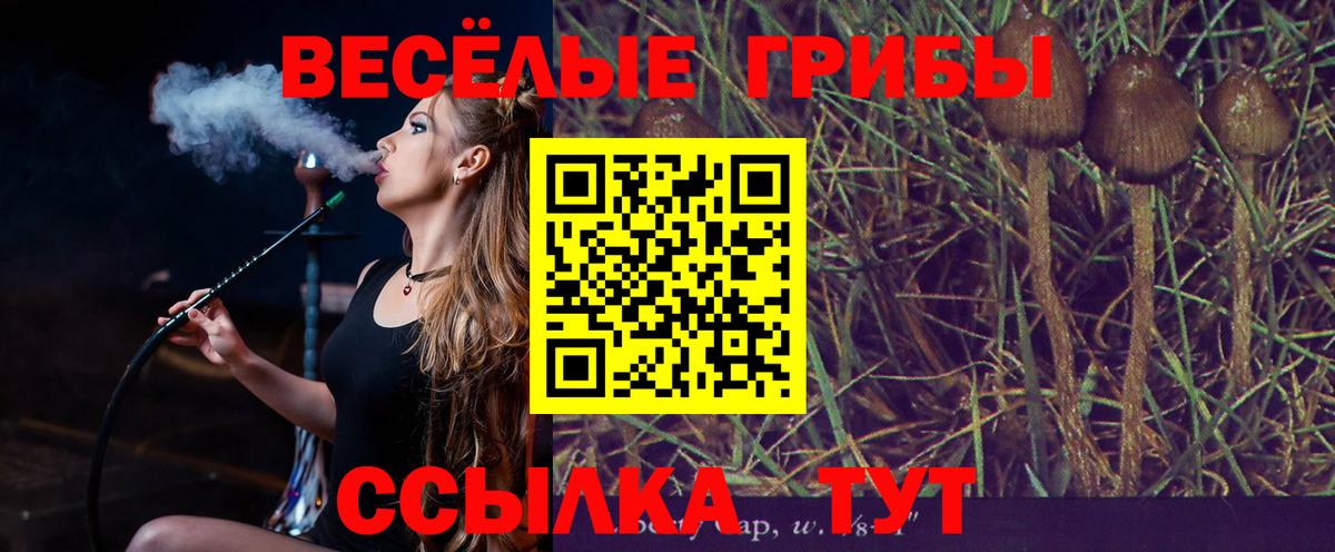 Псилоцибиновые грибы ЛСД Волгодонск